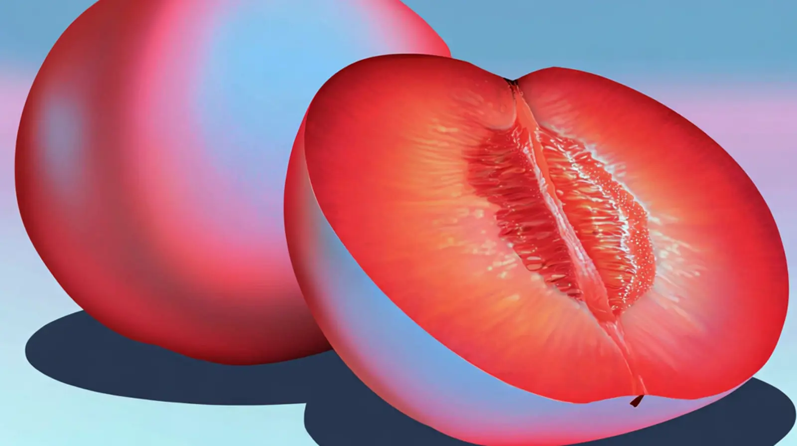 Melon.png