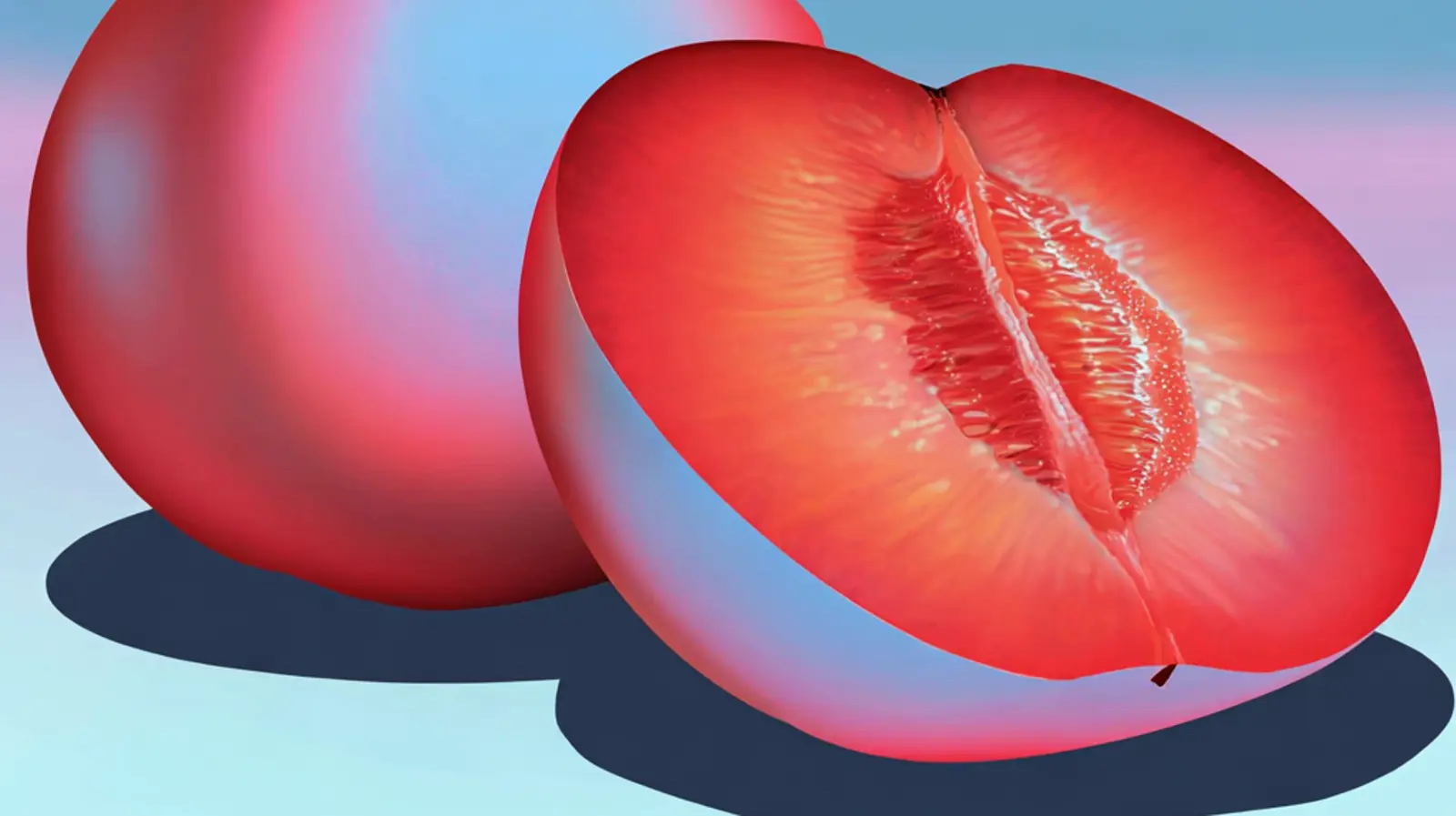 Melon.png